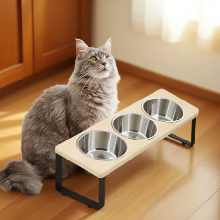 Bols Surélevés pour Chat – Support Incliné 15° avec 3 Bols en Acier Inoxydable